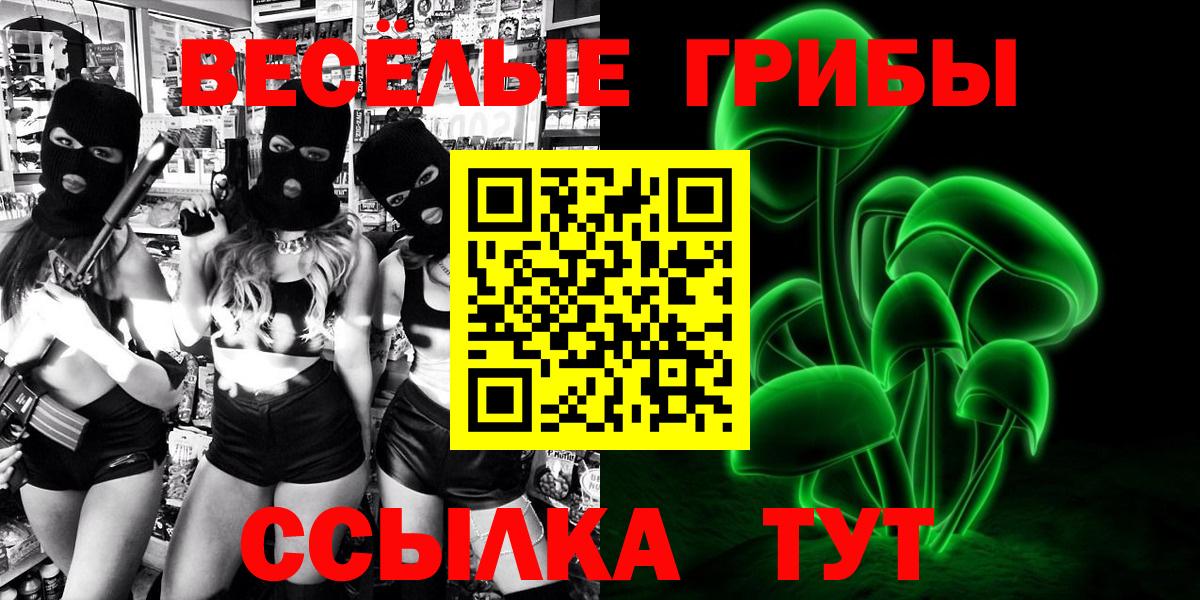 Псилоцибиновые грибы Cubensis Морозовск